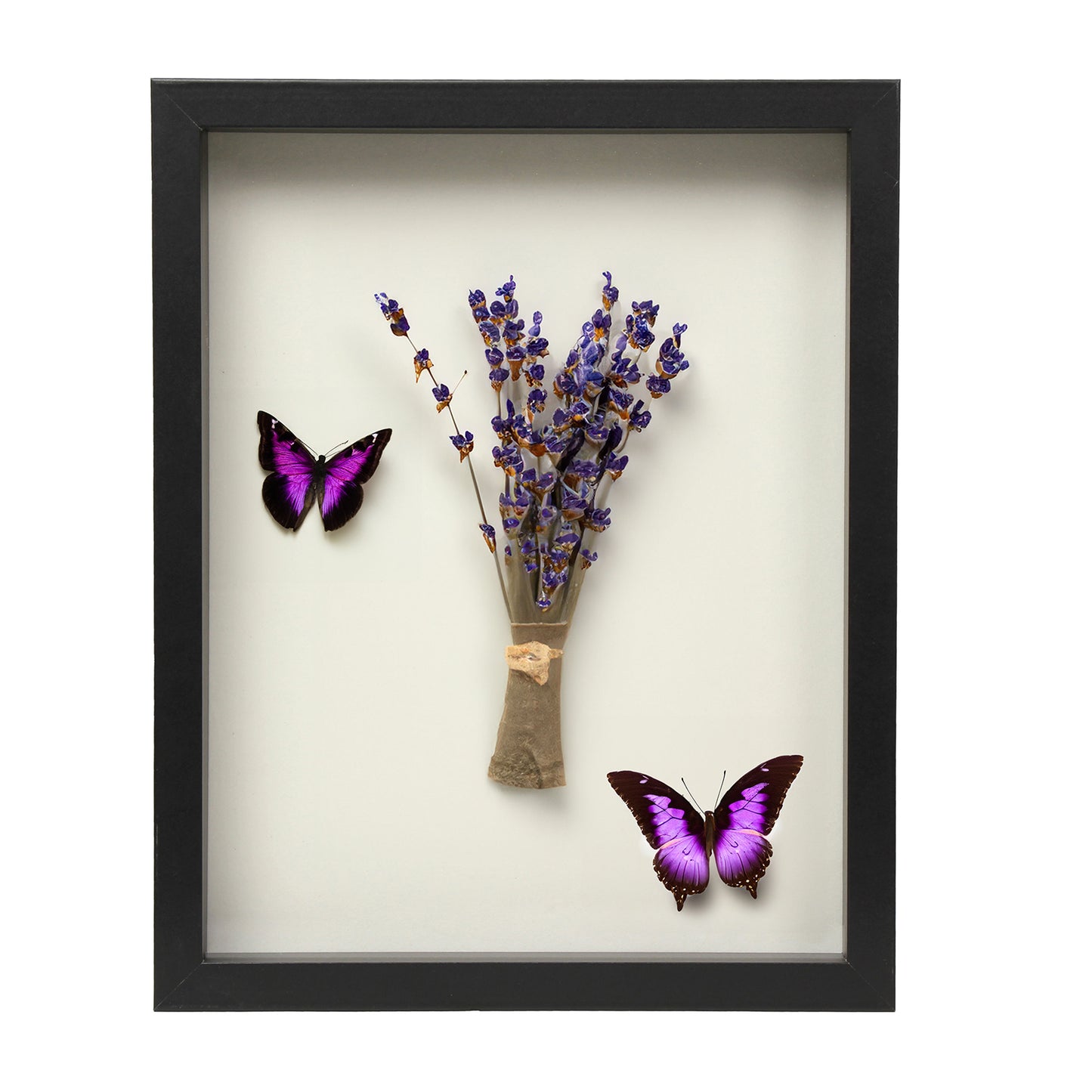 11" x 14” Black MDF Wood Shadow Box Frame