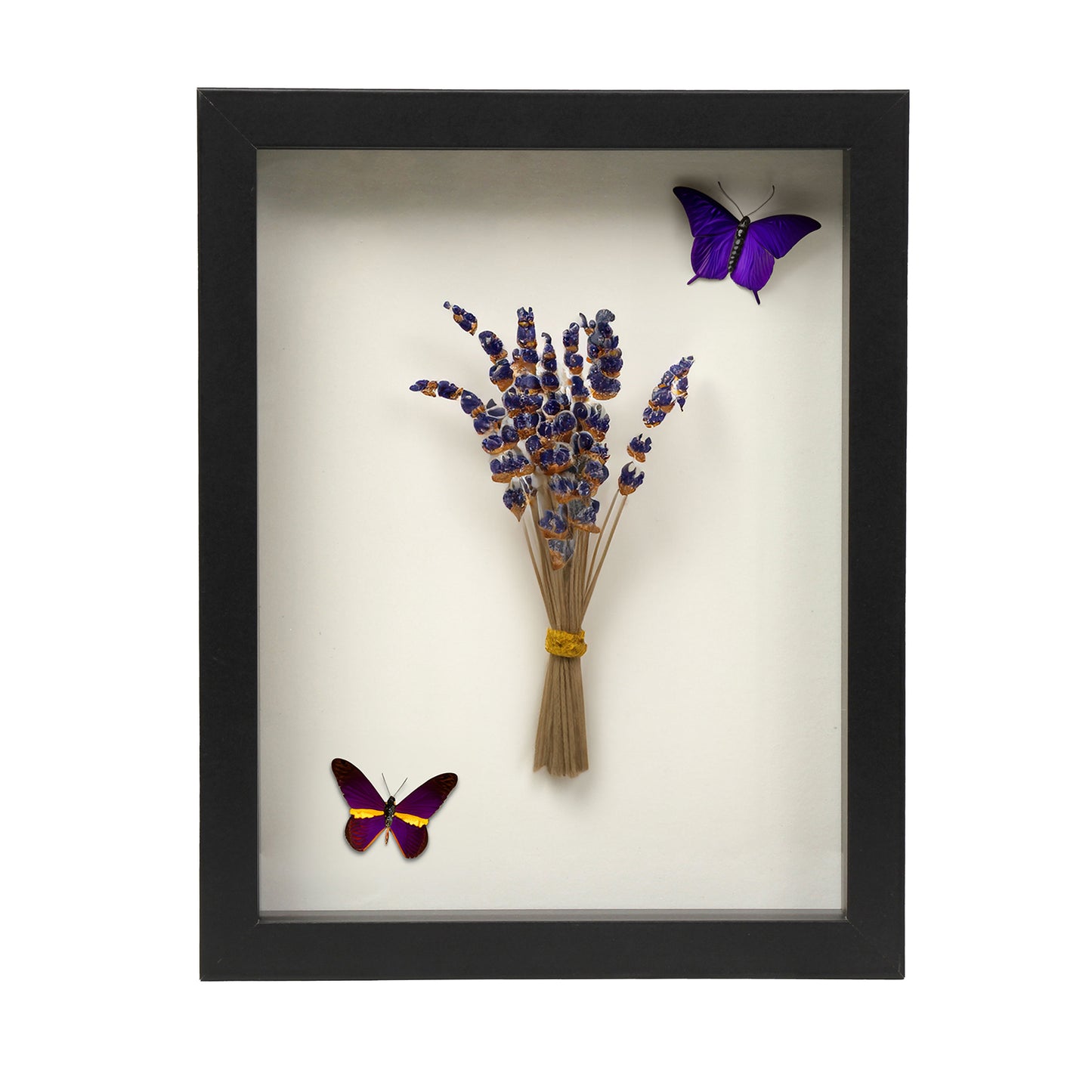 8 1/2” x 11” Black MDF Wood Shadow Box Frame