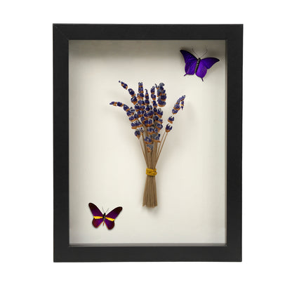 8 1/2” x 11” Black MDF Wood Shadow Box Frame