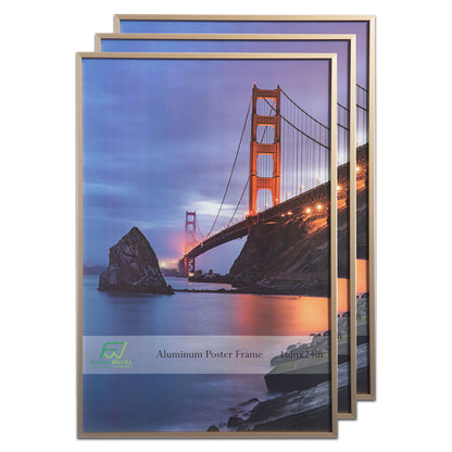16" x 24" Gold Brushed Aluminum Poster Picture Frame with Plexiglass