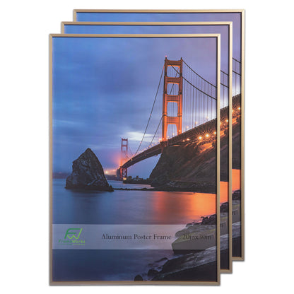 20" x 30" Gold Brushed Aluminum Poster Picture Frame with Plexiglass