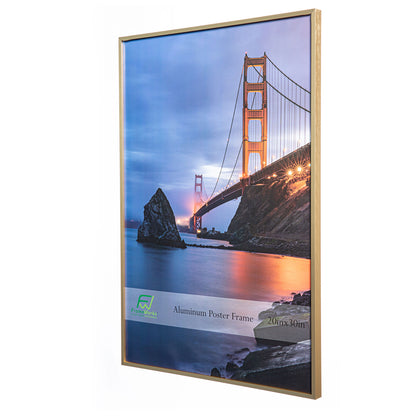 20" x 30" Gold Brushed Aluminum Poster Picture Frame with Plexiglass